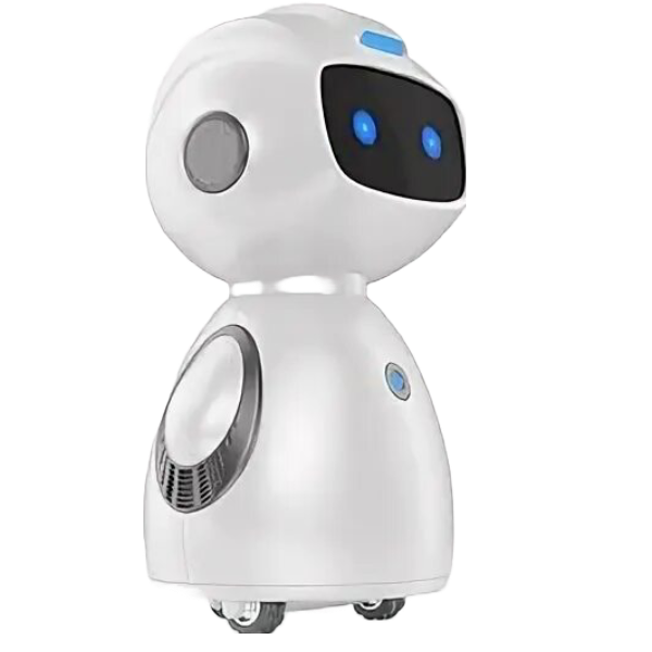 Tailored AI Solutions